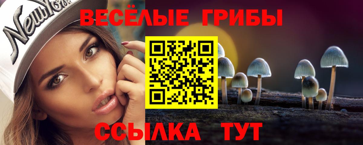 Псилоцибиновые грибы GOLDEN TEACHER  Вход с VPN  Благовещенск 